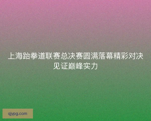 上海跆拳道联赛总决赛圆满落幕精彩对决见证巅峰实力
